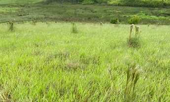 Imagem 3: Lote/Terreno para venda possui 5000 metros quadrados em Cidade Jardim - Jacareí - SP