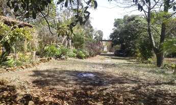 Imagem 5: Ribeirão Preto - Chácara - Bonfim Paulista