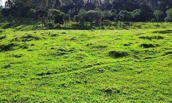 Imagem 4: Imóvel Rural/Terreno em Urubici