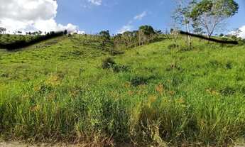 Imagem 5: Fazenda em Joaquim Gomes com 12,5 hectares