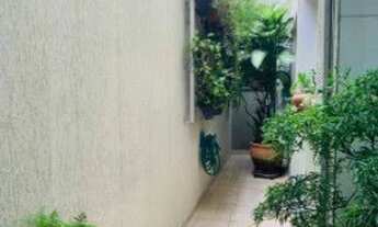 Imagem 4: São Paulo - Casa Padrão - Vila Gomes Cardim