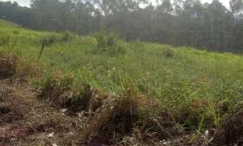 Imagem 7: Lote/Terreno para venda com 1000 metros quadrados em Pouso Alegre - Santa Isabel - SP