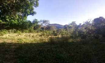 Imagem 4: Chácara em Santa Rosa 9 9 8 0 3 8 3 7 6