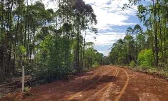 Imagem: Fazendinhas em lançamento com entrada parcelada