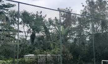 Imagem 2: Casa de condomínio térrea para aluguel com 60 metros quadrados com 3 quartos