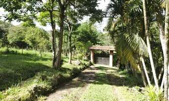 Imagem 5: Chácara com área de 8.000 m2 Cambui-MG