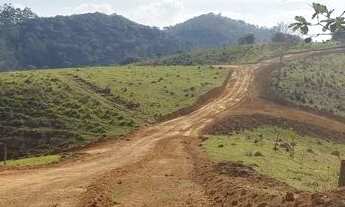 Imagem 2: Terrenos demarcados!!