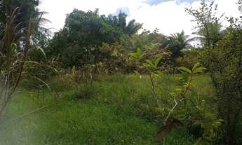 Imagem 4: Sítio em são Lourenço 112.000