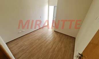 Imagem 6: Linda casa em Tucuruvi