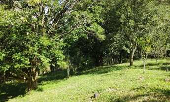 Imagem 3: Chácara com área de 8.000 m2 Cambui-MG