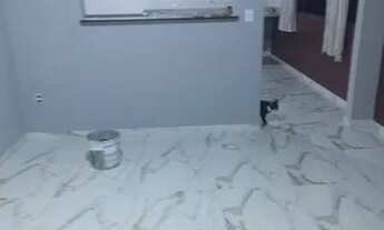 Imagem 2: Aluga-se casa 2/4