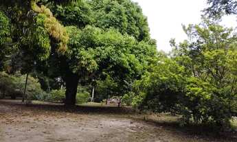 Imagem 6: CY - Chácara com mais de 5000 m² na Praia Formosa em Aracruz