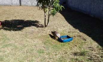 Imagem 3: EXCELENTE TERRENO PARA VENDA EM UNAMAR / CABO FRIO-RJ