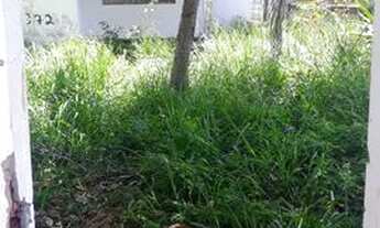 Imagem: Casa em peroba com 3 quartos 2 banheiros