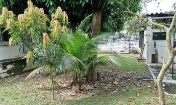 Imagem 7: Terreno de 930m² no Adrianopolis todo documentado