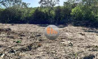 Imagem 7: Fazenda com 2 dormitórios à venda, 750200 m² por R$ 2.700.000,00 - Zona Rural - Paraúna/GO
