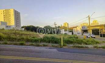 Imagem 2: Terreno-À VENDA-Morrão da Força-Itatiba-SP