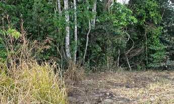 Imagem 6: Chácara Capivari dos beires, Abadiânia