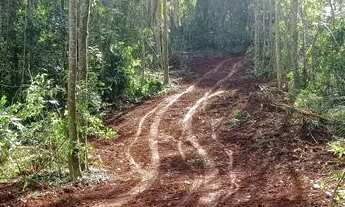 Imagem 7: Chácara 31 hectares 450,000,00 avista com arroio