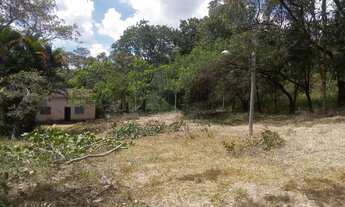 Imagem 5: Terreno de 3 hectares com água