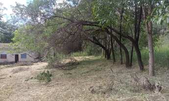 Imagem 3: Terreno de 3 hectares com água