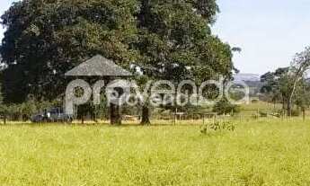 Imagem: ÁREA COM 58.000M² LOCALIZADA NA RODOVIA