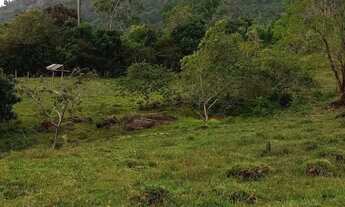 Imagem 3: TERRENO À VENDA DE 492ha - AMAJARI