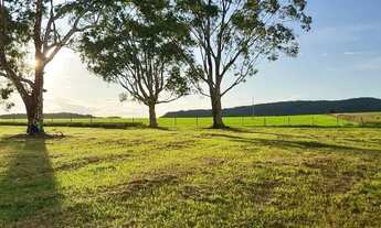 Imagem 3: Fazenda à Venda em Baliza - GO