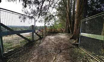Imagem 2: Saraju Vende Terreno em chacara em São José Dos pinhais