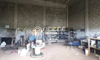 Imagem 4: Imóvel Comercial para aluguel, Segismundo Pereira - Uberlândia/MG