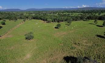 Imagem 7: FAZENDA DE 52 HEC DE PORTEIRA FECHADA A 10 KM DE BURITIS - MG