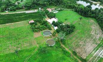 Imagem 3: Fazenda a venda Porteira Fechada com 14 hectares, linda casa sede por R$ 2.800.000 - Irand