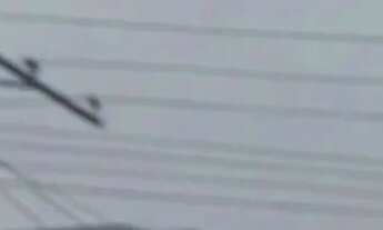 Imagem: GALPÃO PARA LOCAÇÃO 600 m² e 300 m JARDIM