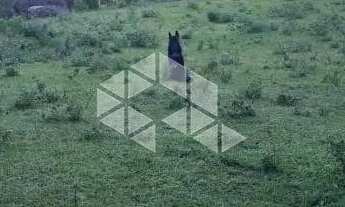 Imagem 6: Terreno no bairro Saco Grande, em Florianópolis- SC