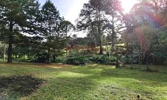 Imagem 6: Saraju Vende Terreno em chacara em São José Dos pinhais