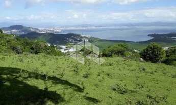 Imagem 5: Terreno no bairro Saco Grande, em Florianópolis- SC
