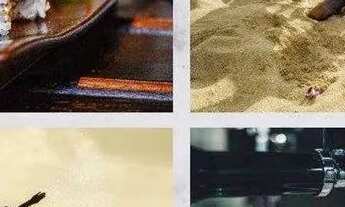 Imagem 4: Casa para Venda em Florianópolis, Campeche, 3 dormitórios, 1 suíte, 3 banheiros, 2 vagas