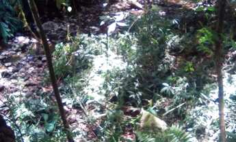 Imagem 7: Area - Bairro Arroio Paixão