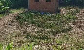 Imagem 4: Terreno na estrada de Autazes km 53