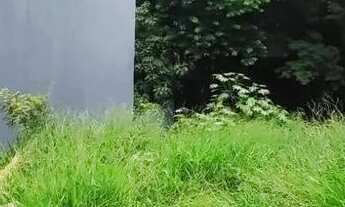 Imagem: Excelente terreno A venda !!! Residencial