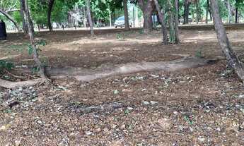 Imagem 4: Vendo ágil de chácara, em condomínio, 1000m2 em Luzimangues