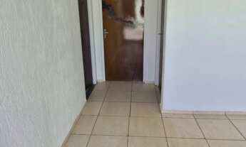 Imagem 7: Somente hoje a vista pequis 200.000,00