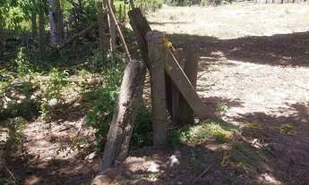 Imagem 3: Sítio com 3,5 alqueires na região do Xuri