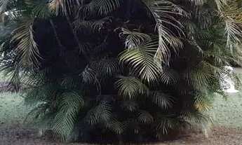 Imagem 3: Imóvel para venda tem 9800 metros quadrados com 4 quartos em Veraneio Irajá - Jacareí - SP