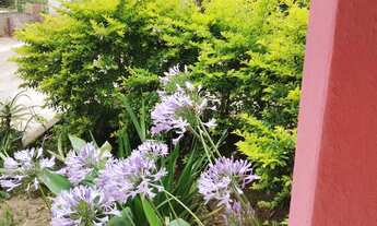 Imagem 5: Vendo casa em bom jardim de minas