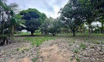 Imagem 7: Chácara com 9.538 M², troco por apartamento em vila velha maior valor