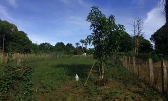 Imagem 3: Vendo Terreno em Cocalzinho de Goiás