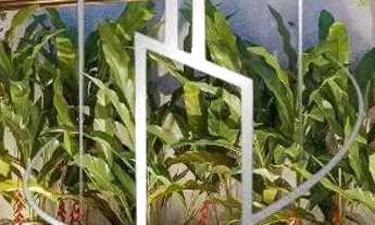 Imagem: CONDOMINIO MUNDI ROOFTOP Alto padrão em