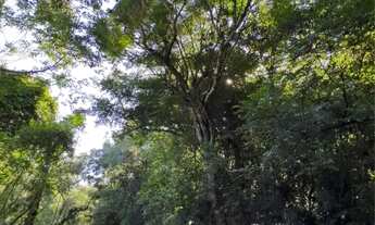 Imagem 2: Oportunidade na Serra