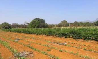 Imagem 3: Chácara em local sossegado